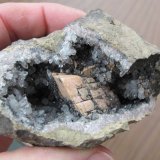 Rhodochrosite
7 cm
(Autor: Charlotte)