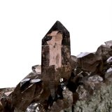 Smoky quartz
Crystal size 6 cm
(Autor: Tobi)