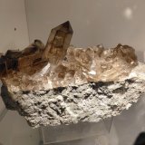 Specimen size 16,5 cm, largest crystal 6 cm
(Autor: Tobi)
