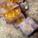 Fluorite, Chalcopyrite
FOV 3 cm
(Autor: Tobi)