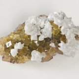 Dolomite on Fluorite
58x35x23 mm
(Autor: steven calamuci)
