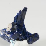 Azurite
18 x1,5 cm
(Autor: steven calamuci)