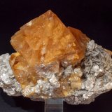 Scheelite on Muscovite
Specimen size: 13.2 × 11.6 × 8.6 cm / main crystal size: 7.2 × 6.6 cm
(Autor: Jordi Fabre)