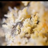 Steropesite
0.5-1 mm
(Autor: mineralenzo)