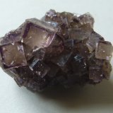 Fluorite
4cm
(Autor: colin robinson)