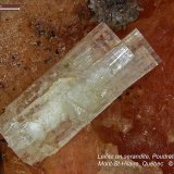 Leifite on Serandite
(Autor: Roger Warin)