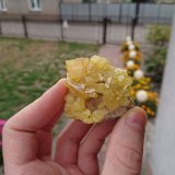 Sulphur
5,5 x 5 cm
(Autor: sauer11)