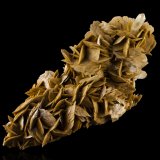 Siderite with Quartz
34 x 13 x 20 cm / main crystal: 5.8 cm
(Autor: MIM Museum)