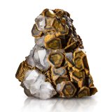 Siderite with Quartz
7 x 3 x 7.5 cm / main crystal: 1.6 cm
(Autor: MIM Museum)