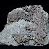 Silver
7x6x3 cm
(Autor: Joseph DOliveira)