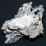 Silver
7x6x5.5 cm
(Autor: Joseph DOliveira)