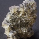 Fluorite
7cm
(Autor: colin robinson)