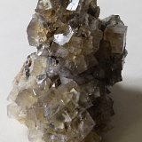 Fluorite
8cm
(Autor: colin robinson)