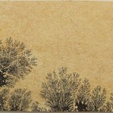 manganese dendrites
Specimen size 18 x 13 cm
(Autor: Tobi)