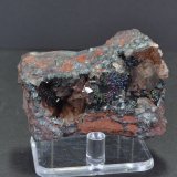 Hematite (var. specularite) and Quartz
5.5 x 3.0 cm
(Autor: captaincaveman)