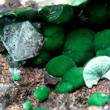 Spertiniite and Cuprite
FOV 1,6 mm
(Autor: Firmo Espinar)