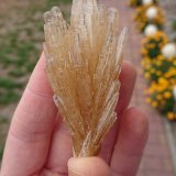 Celestine
7,5 x 3,5 x 2,5
(Autor: sauer11)
