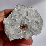 Sphalerite, calcite
Specimen size 5 cm, largest sphalerite 5 mm
(Autor: Tobi)