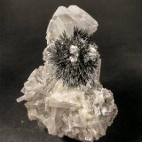 Stibnite on Barite
H: 10.5cm x W: 7.8cm x D: 3.4cm
(Autor: Adrian Pripoae)