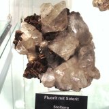 Fluorite on siderite
Specimen size approx. 12 cm
(Autor: Tobi)
