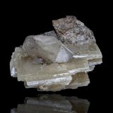 Stolzite
3.5 x 2.5 x 3 cm / main crystal: 3.4 cm
(Autor: MIM Museum)