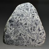 Magnesite (var. pinolite)
10 x 11 cm
(Autor: Martin Rich)