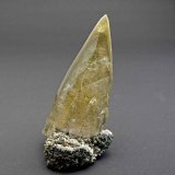 Calcite
Specimen size 18,5 cm, calcite crystal 16,5 cm
(Autor: Tobi)