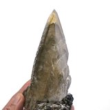 Calcite
Specimen size 18,5 cm, calcite crystal 16,5 cm
(Autor: Tobi)