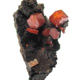 Vanadinite
Largest vanadinite 5 mm, specimen height 4 cm
(Autor: Tobi)
