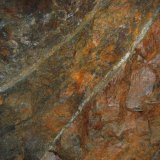 the mine 'drives' are up to many metres in size
(Autor: markbeckett)