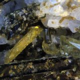 Titanite and Epidote
FOV = 15 mm
(Autor: Adrian Pripoae)