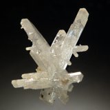 Cerussite
1.5 x 2.0 cm
(Autor: Michael Shaw)