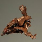 Copper
2.4 x 2.6 cm
(Autor: Michael Shaw)