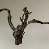 Silver
2.3 x 3.2 cm
(Autor: Michael Shaw)
