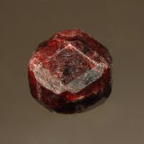 Almandine
1.0 x 1.0 cm
(Autor: Michael Shaw)