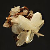 Cerussite
1.6 x 1.8 cm
(Autor: Michael Shaw)