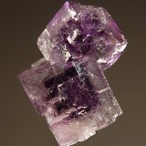 Fluorite
2.0 cm
(Autor: Michael Shaw)
