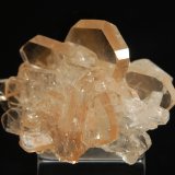 Barite
1.9 x 2.4 cm
(Autor: Michael Shaw)