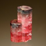Elbaite (Tourmaline Group)
1.2 x 2.2 cm
(Autor: Michael Shaw)
