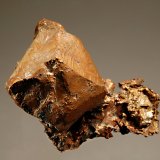 Copper
2.3 x 2.7 cm
(Autor: Michael Shaw)