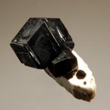 Andradite
1.8 x 2.7 cm
(Autor: Michael Shaw)