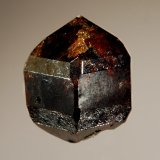 Zircon
1.3 x 1.7 cm
(Autor: Michael Shaw)