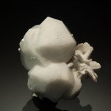 Analcime
1.9 x 2.1 cm
(Autor: Michael Shaw)