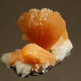 Stilbite
2.1 x 2.5 cm
(Autor: Michael Shaw)