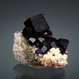 Fluorite
2.7 x 2.9 cm
(Autor: Michael Shaw)