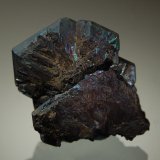 Chalcocite
1.9 x 2.2 cm
(Autor: Michael Shaw)