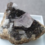 Fluorite
2.5cm
(Autor: colin robinson)