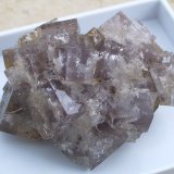 Fluorite
8mm
(Autor: colin robinson)