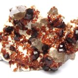 Spessartine and smoky quartz on feldspar
Specimen size 8 cm
(Autor: Tobi)