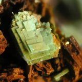 Metatorbernite
FOV 5 mm
(Autor: Cesar M. Salvan)